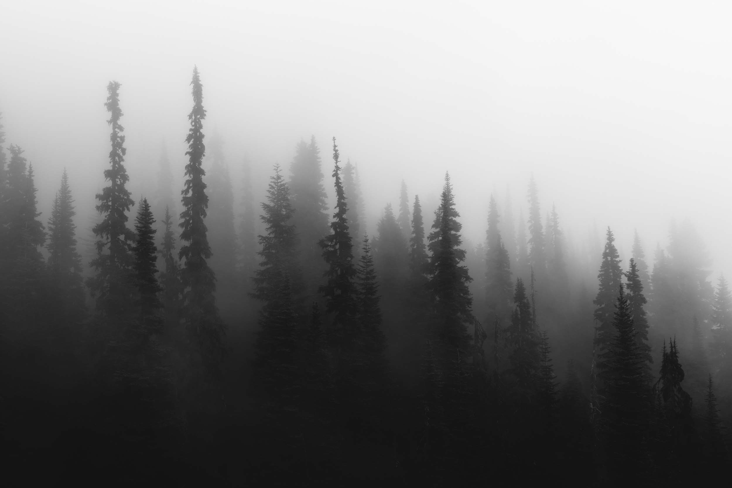 20190816_sheeplake_30781.1