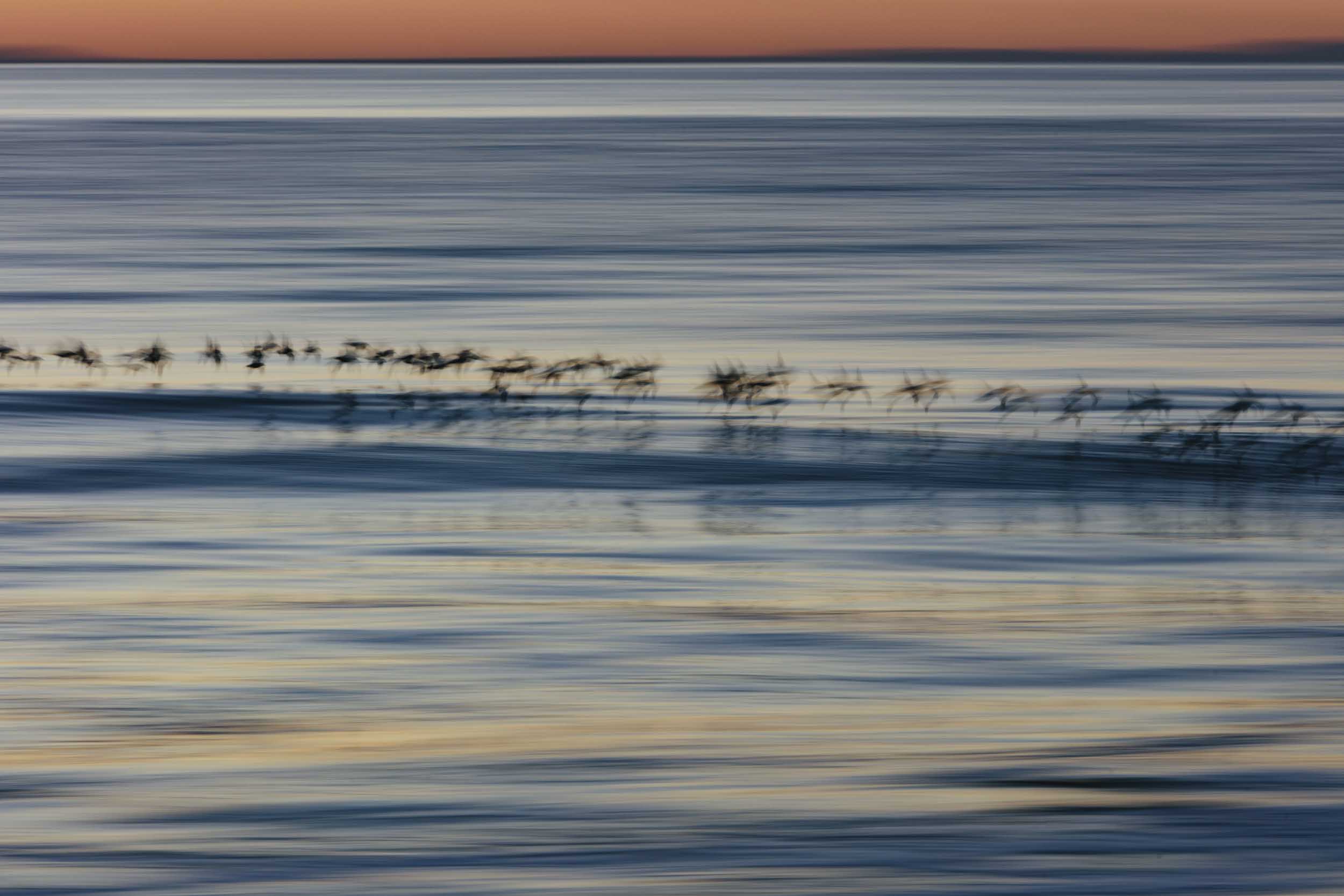 20191024_pointreyes_34435