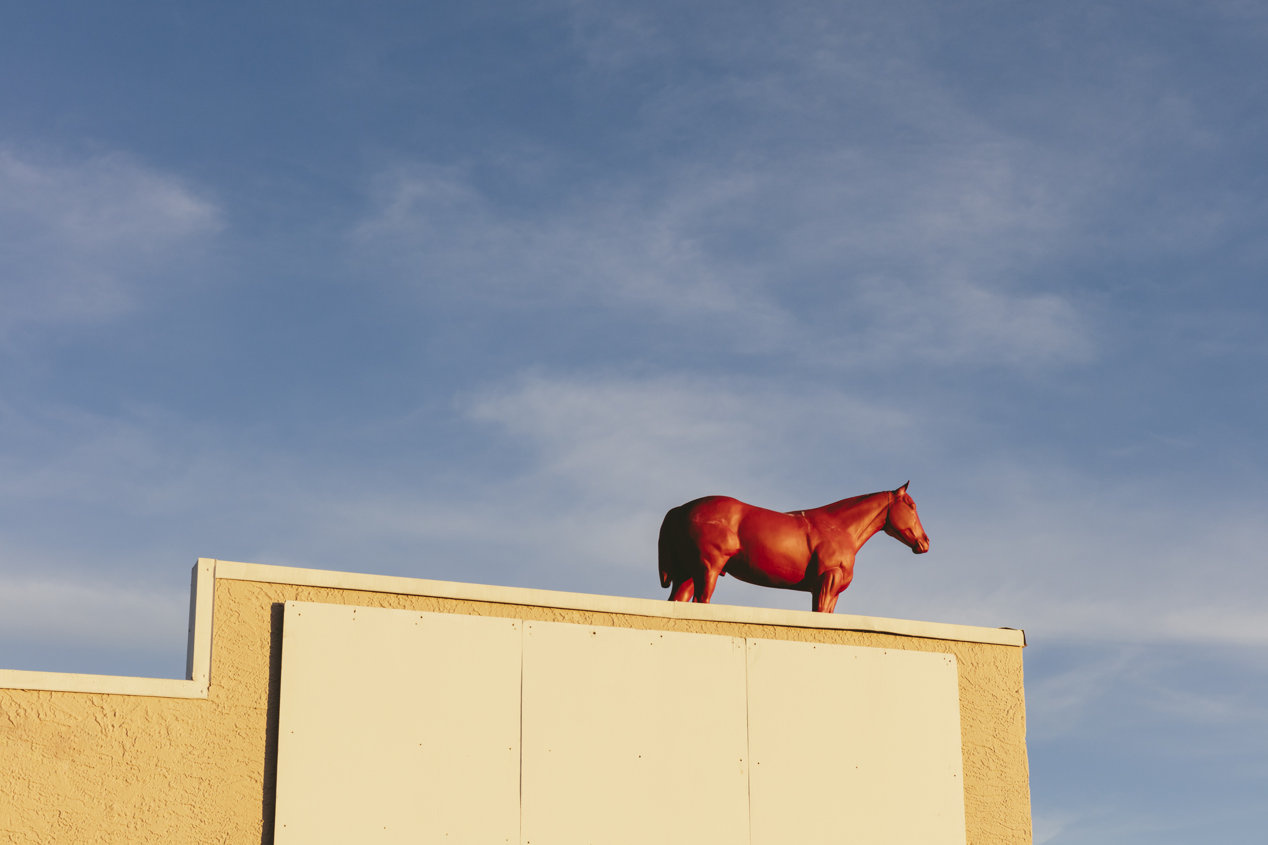 Red Horse, Springerville, AZ, 2021